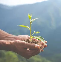Greenhouse gas emissions decreased